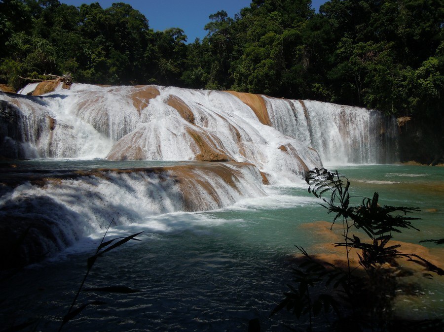 Paquete Clásicos de chiapas